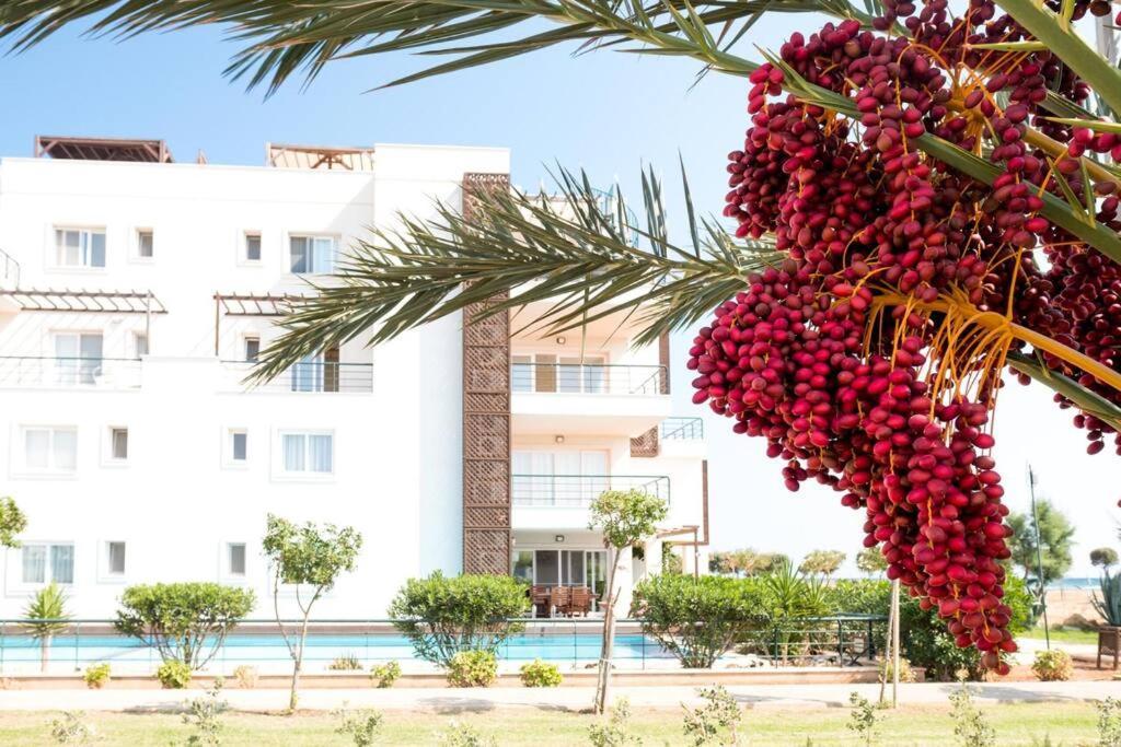 Private Beach Resort Cyprus Vokolidha Exteriér fotografie